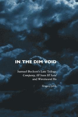 Gregory Johns - In the Dim Void, Häftad