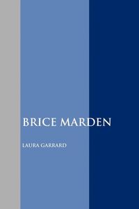 bokomslag Brice Marden