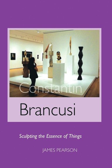 bokomslag Constantin Brancusi