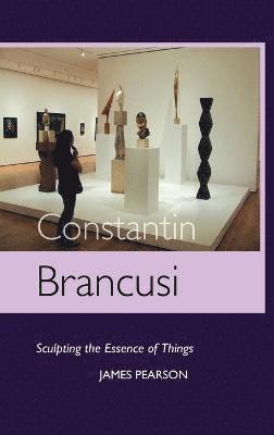 bokomslag Constantin Brancusi