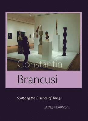 bokomslag Constantin Brancusi