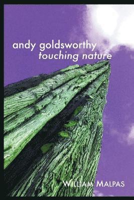 bokomslag Andy Goldsworthy