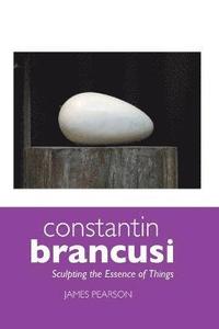 bokomslag Constantin Brancusi