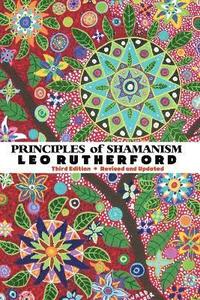 bokomslag Principles of Shamanism