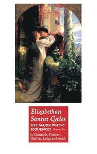 bokomslag Elizabethan Sonnet Cycles