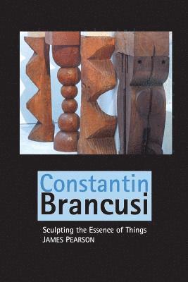 bokomslag Constantin Brancusi