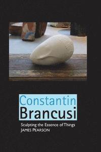 bokomslag Constantin Brancusi
