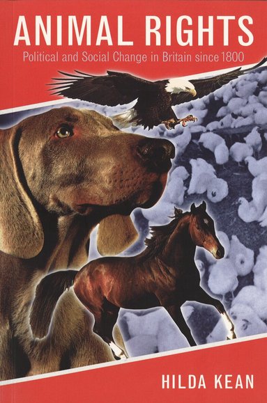 Hilda Kean - Animal Rights, Häftad
