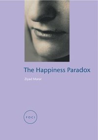 bokomslag Happiness Paradox