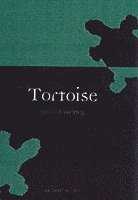 bokomslag Tortoise