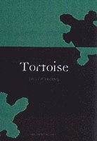 Tortoise 1