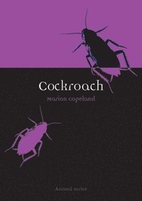 bokomslag Cockroach