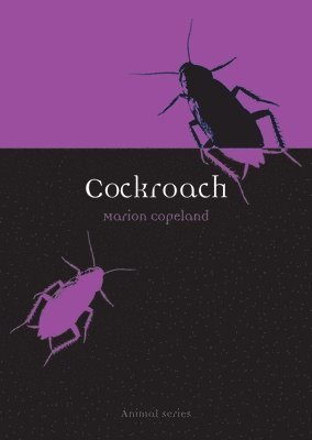 bokomslag Cockroach