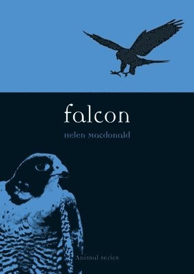 bokomslag Falcon