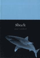 Shark 1