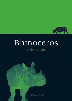 Kelly Enright - Rhinoceros, Häftad