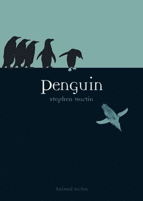 Penguin 1