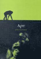 Ape 1