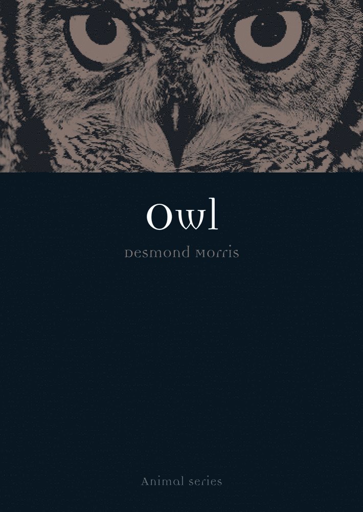 Desmond Morris - Owl, Häftad