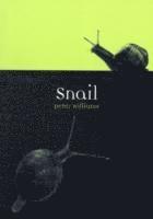 Snail 1