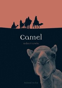 bokomslag Camel
