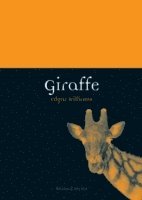 bokomslag Giraffe