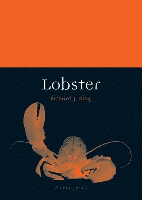 Richard J. King - Lobster, Häftad
