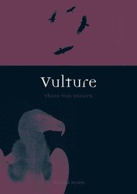bokomslag Vulture