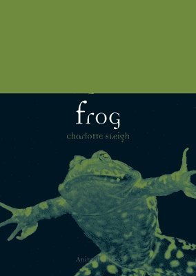Charlotte Sleigh - Frog, Häftad