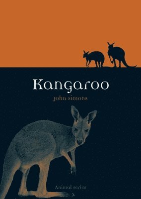 bokomslag Kangaroo