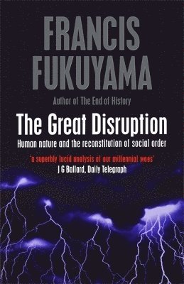 bokomslag Great Disruption