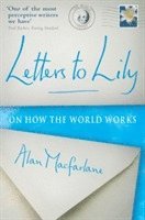 Letters To Lily 1