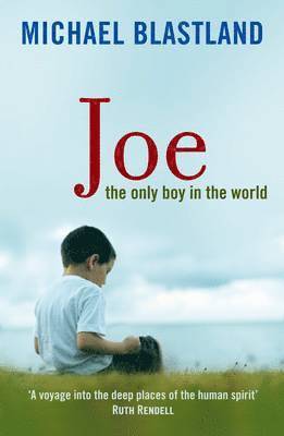 bokomslag JOE