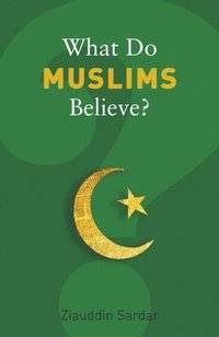 bokomslag What Do Muslims Believe?