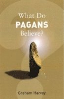 bokomslag What Do Pagans Believe?