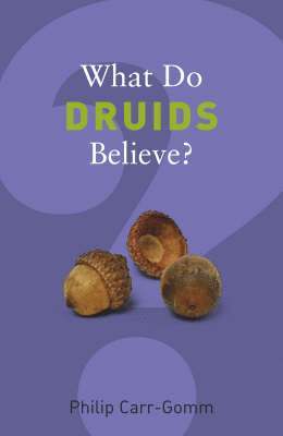 bokomslag What Do Druids Believe?