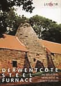 bokomslag Derwentcote Steel Furnace