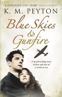 bokomslag Blue Skies and Gunfire