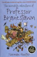 bokomslag The Incredible Adventures of Professor Branestawm