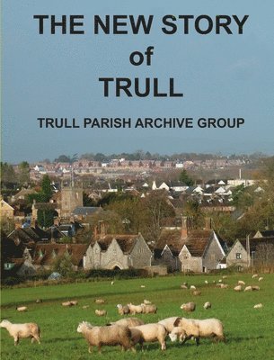 bokomslag New Story of Trull