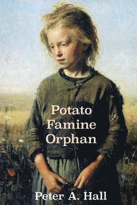 bokomslag Potato Famine Orphan