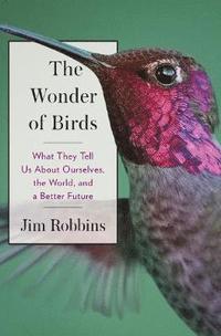 bokomslag The Wonder of Birds: What They Tell Us About Ourselves, the World, and a Better Future