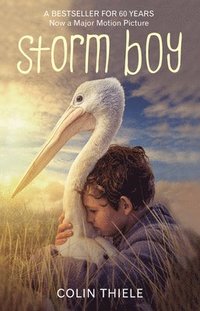 bokomslag Storm Boy