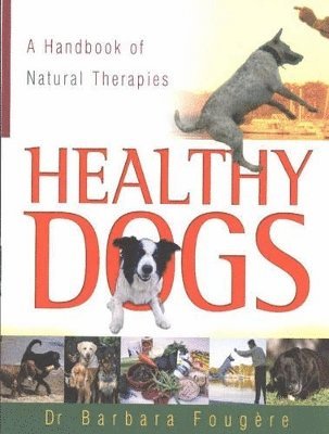Healthy Dogs