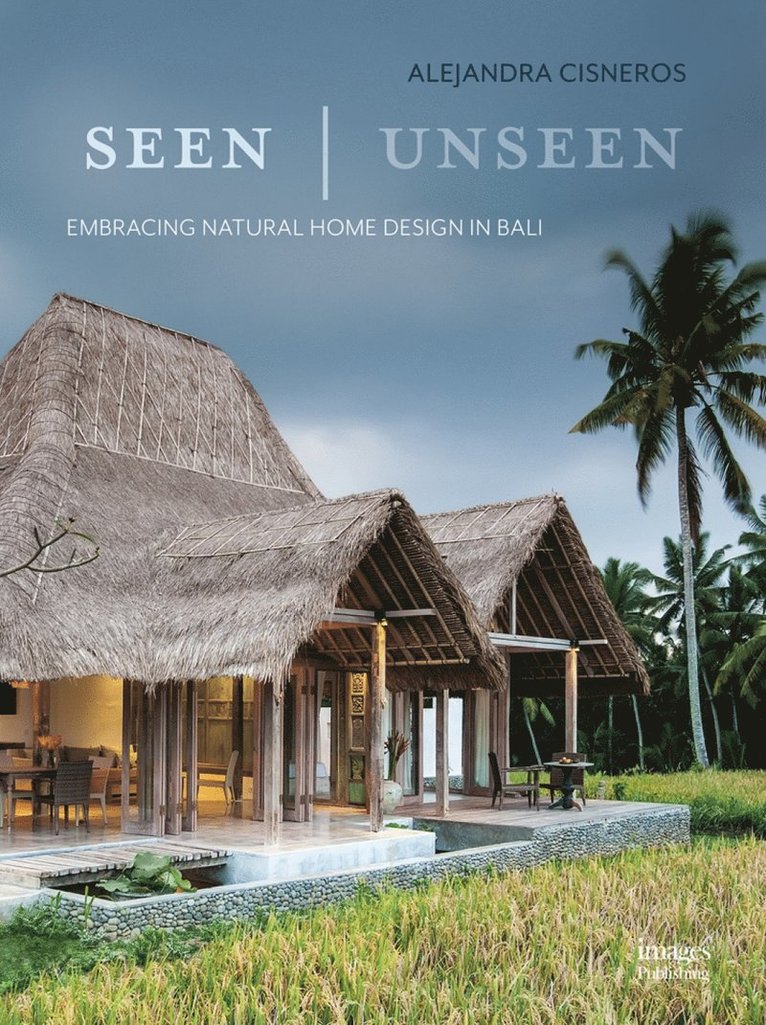 Alejandra Cisneros - Seen | Unseen, Inbunden