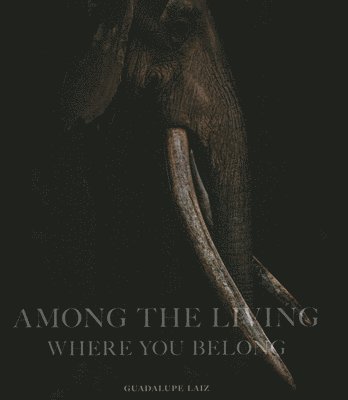 Guadalupe Laiz, Adam Skolnick - Among the Living, Inbunden