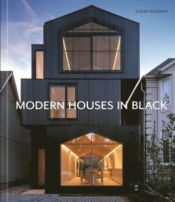 Modern Houses in Black 1