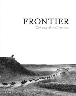 Frontier 1