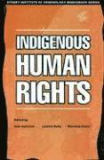 bokomslag Indigenous Human Rights
