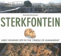 bokomslag Sterkfontein